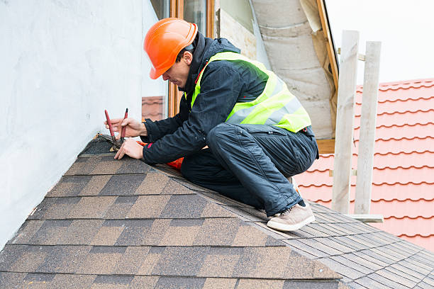 Roof Gutter Cleaning in Bronson, FL